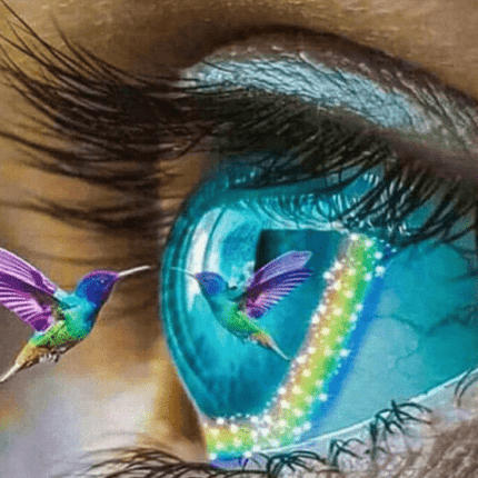 Auge mit buntem Kolibri - 5D DIY Diamond Painting - Kreativsein.shop