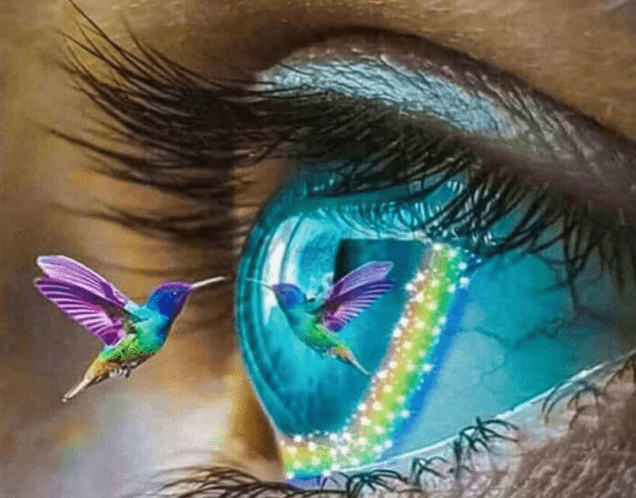 Auge mit buntem Kolibri - 5D DIY Diamond Painting - Kreativsein.shop