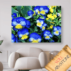 Blau gelbe Stiefmütterchen - Voll AB 5D DIY Diamond Painting - Kreativsein.shop