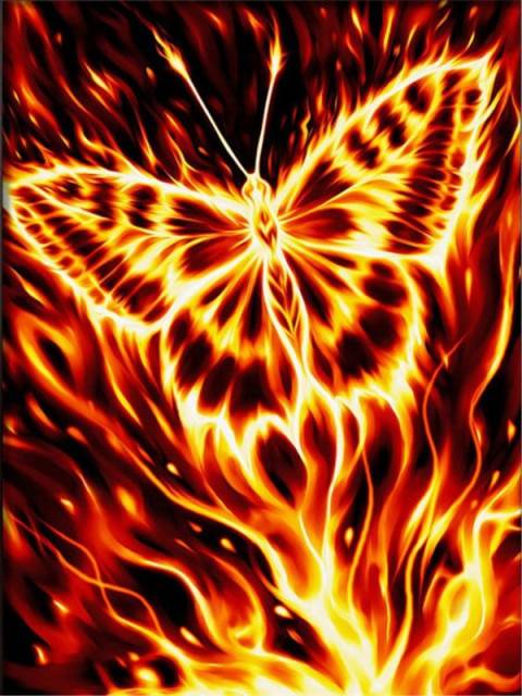 Ein Schmetterling in Feuer und Flammen - Diamond Painting - Kreativsein.shop