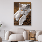 Graue Katze liegt auf Fell - 5D DIY Diamond Painting - Kreativsein.shop