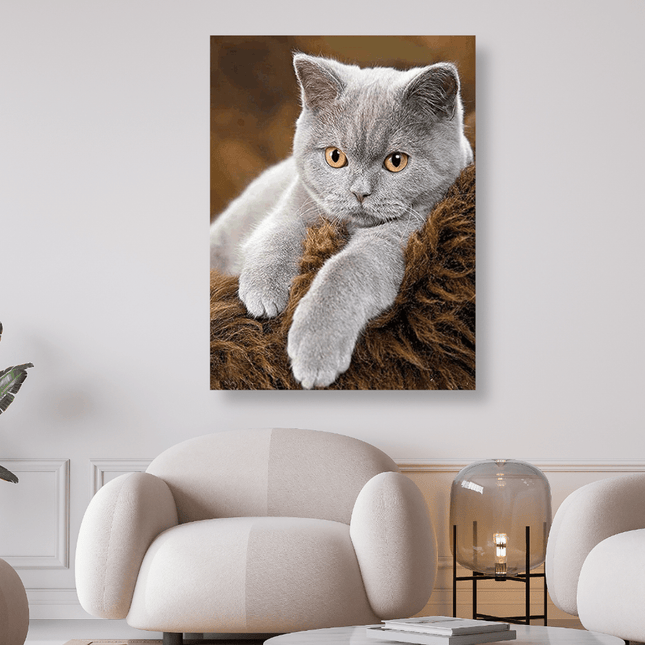 Graue Katze liegt auf Fell - 5D DIY Diamond Painting - Kreativsein.shop