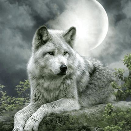 Grauer Wolf mit Mond - 5D DIY Diamond Painting - Kreativsein.shop