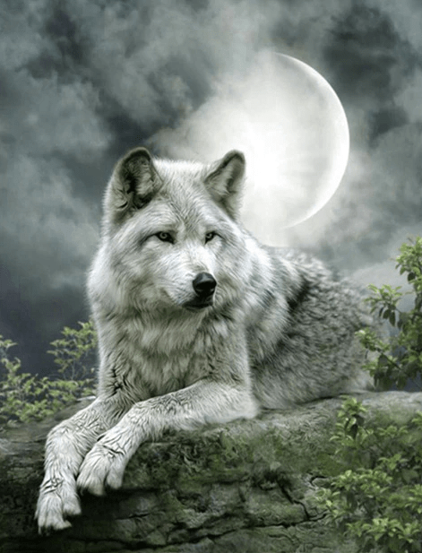 Grauer Wolf mit Mond - 5D DIY Diamond Painting - Kreativsein.shop