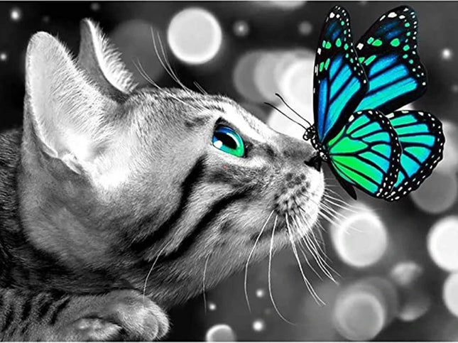 Katze mit Schmetterling auf der Nase LA - Voll AB 5D DIY Diamond Painting - Kreativsein.shop