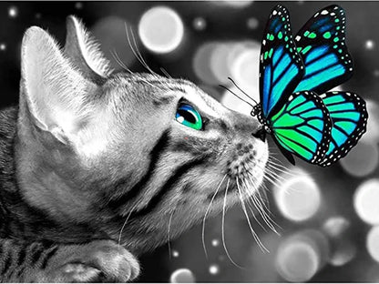 Katze mit Schmetterling auf der Nase LA - Voll AB 5D DIY Diamond Painting Shop