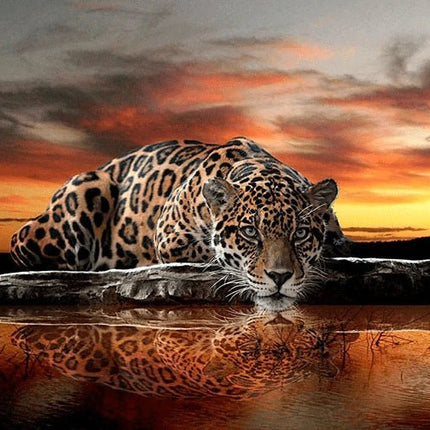 Leopard am Wasser - 5D DIY Diamond Painting - Kreativsein.shop