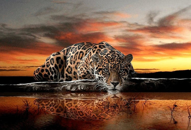 Leopard am Wasser - 5D DIY Diamond Painting - Kreativsein.shop