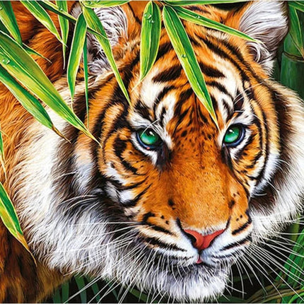 Tiger im Gras - Voll AB 5D DIY Diamond Painting - Kreativsein.shop