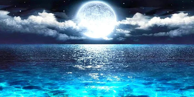 Vollmond am Meer - 5D DIY Diamond Painting - Kreativsein.shop