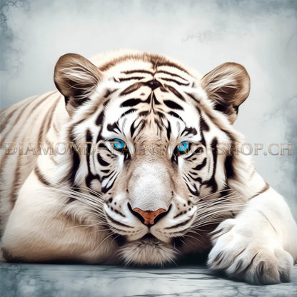 Weisser Tiger mit blauen Augen LA - 5D DIY Diamond Painting Shop Schweiz