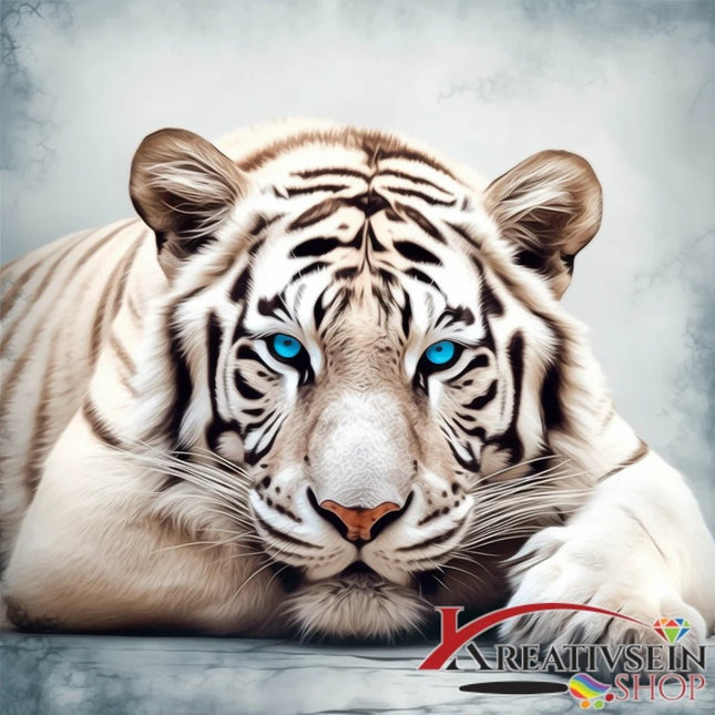 Weisser Tiger mit blauen Augen - Malen nach Zahlen - Kreativsein.shop